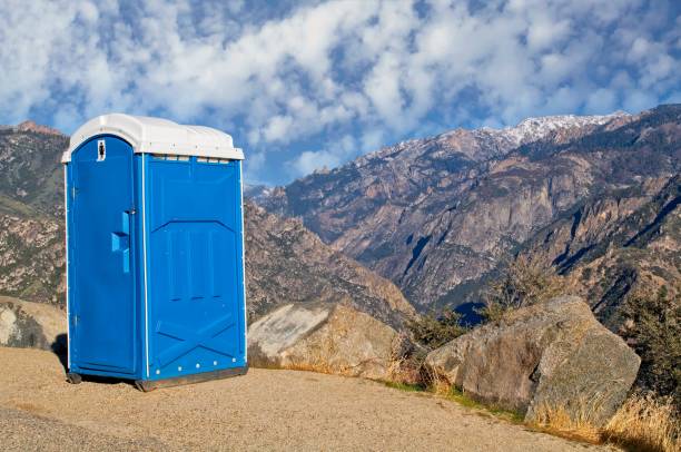 Best Portable Toilets with Baby Changing Stations  in Bellerose Terrace, NY